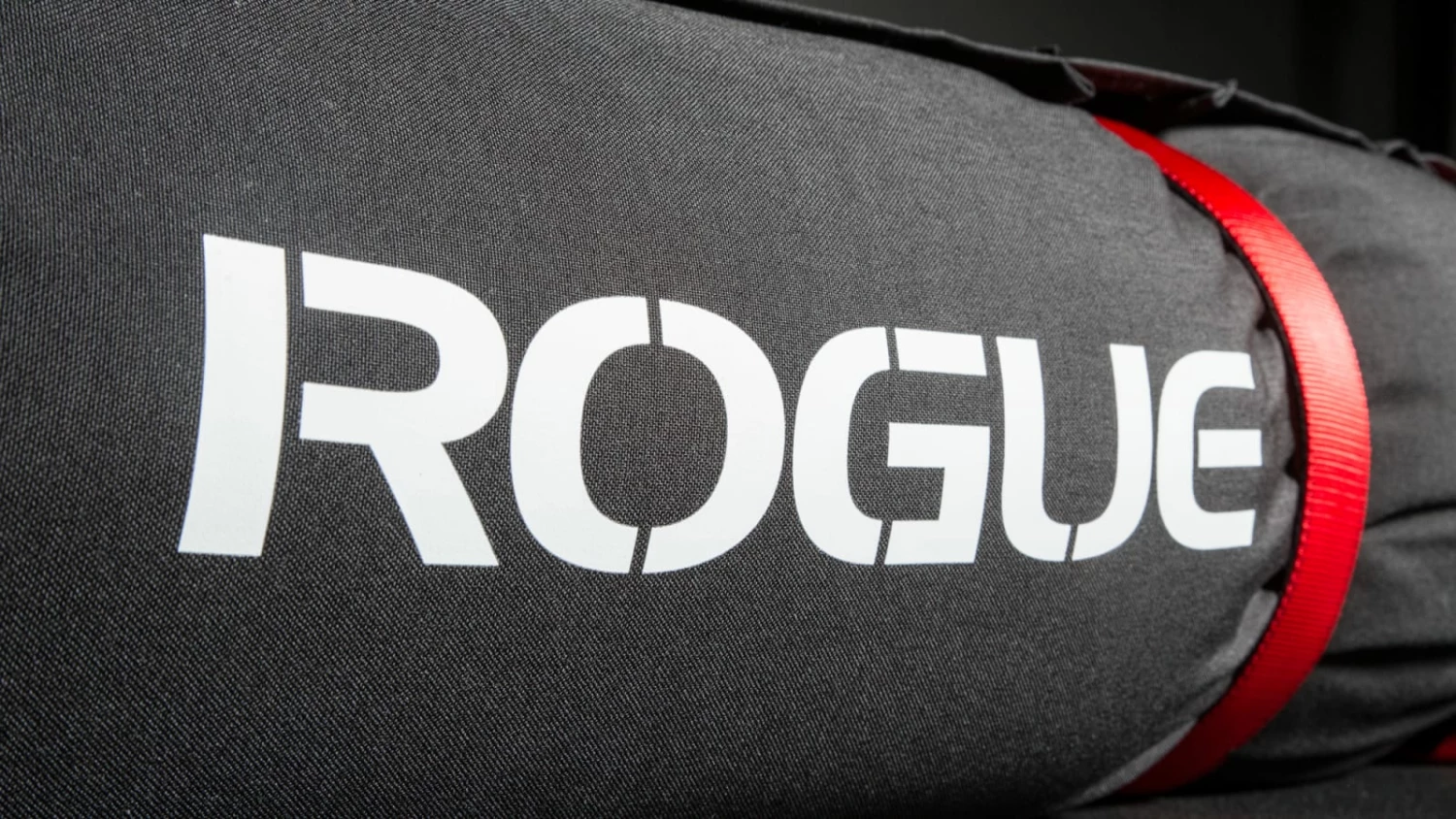 Rogue Fitness Rogue 4 Person Worm - Image 2