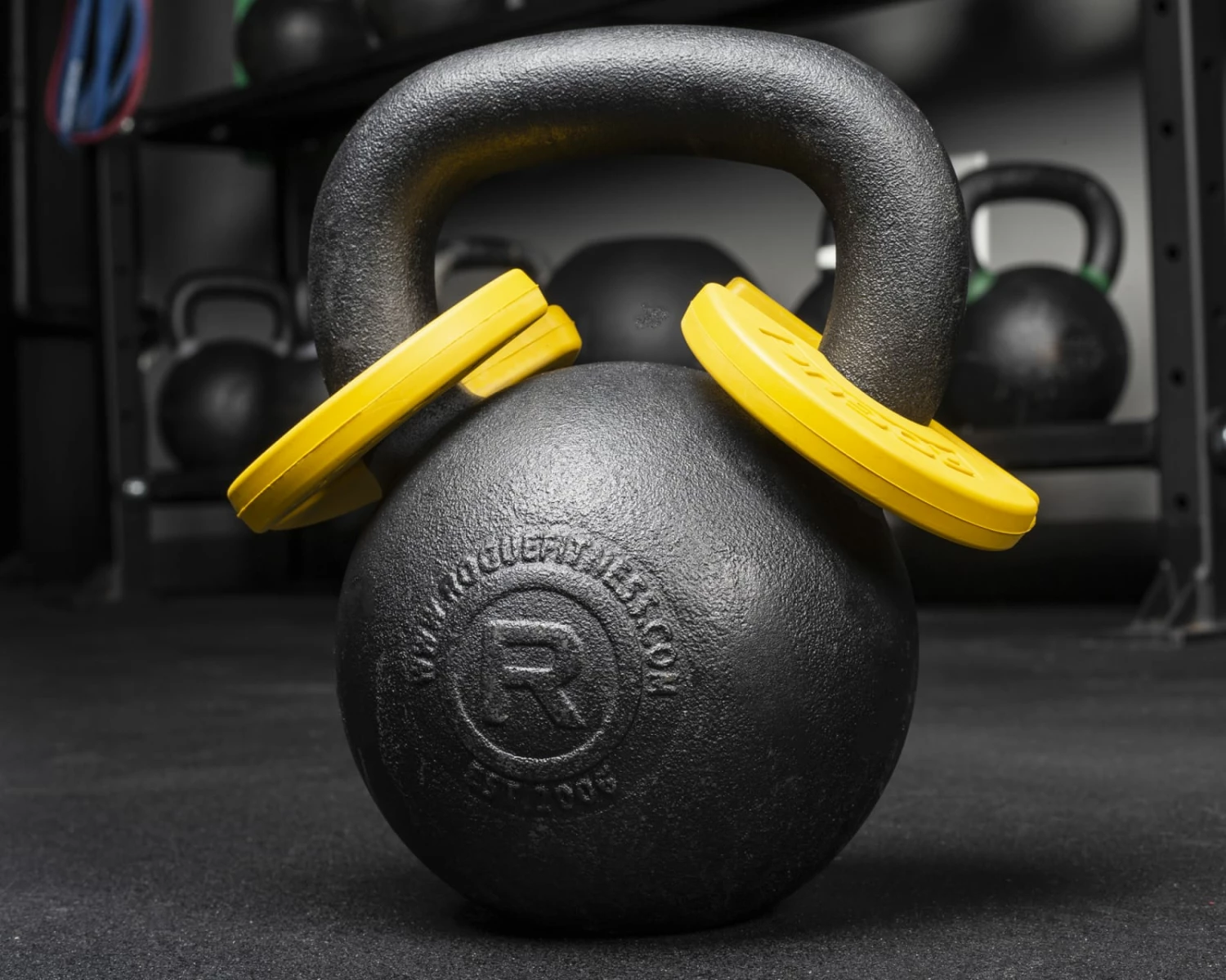 Rogue Fitness Rogue Add-On Change Plate Pair - Image 4