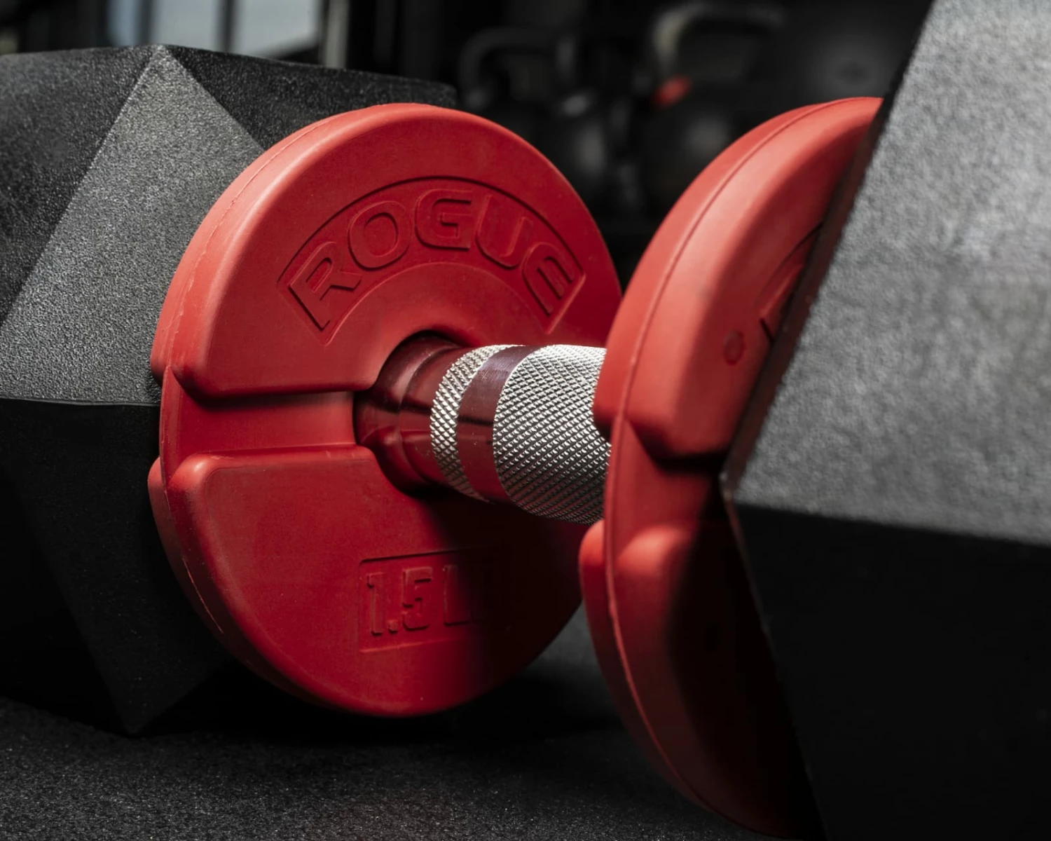 Rogue Fitness Rogue Add-On Change Plate Pair - Image 5