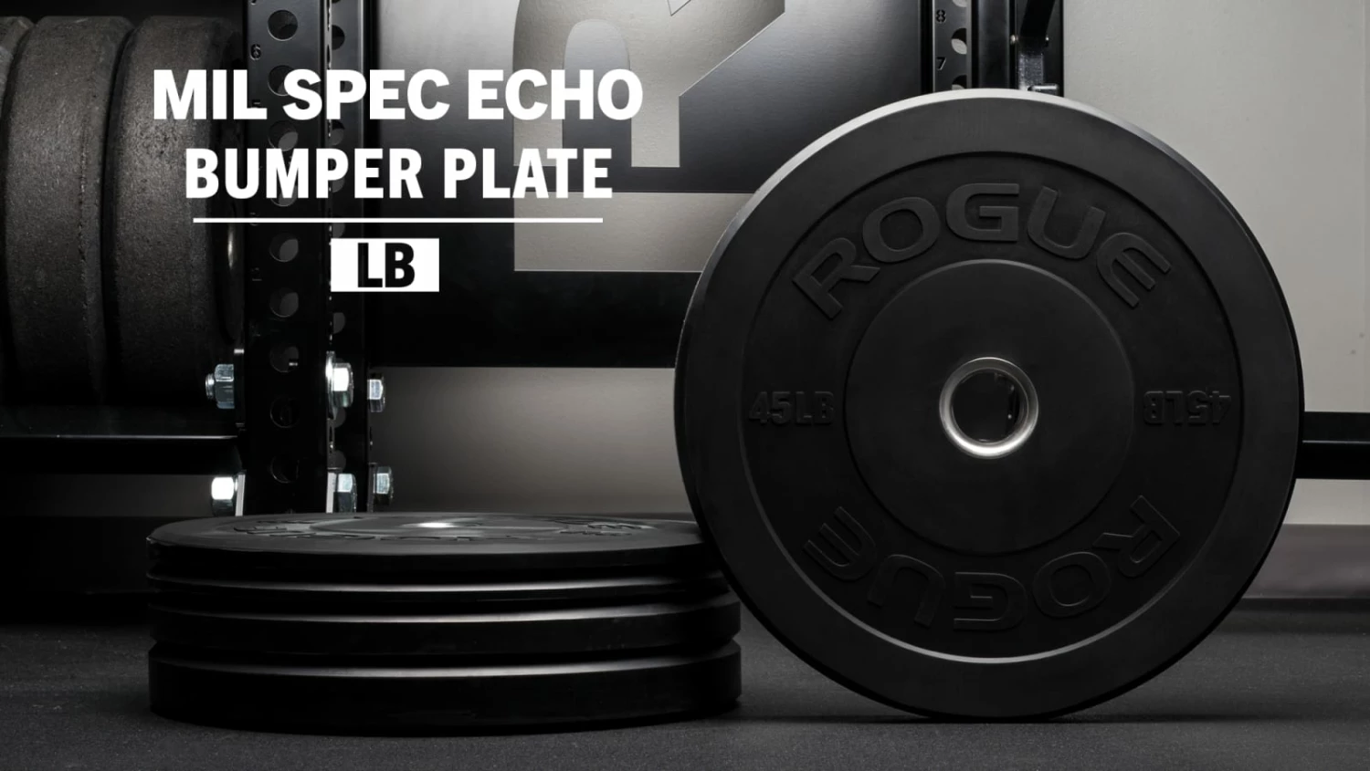 Rogue Fitness Rogue MIL Spec Echo Bumper