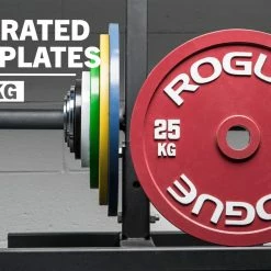 Rogue Fitness Rogue Calibrated KG Steel Plates