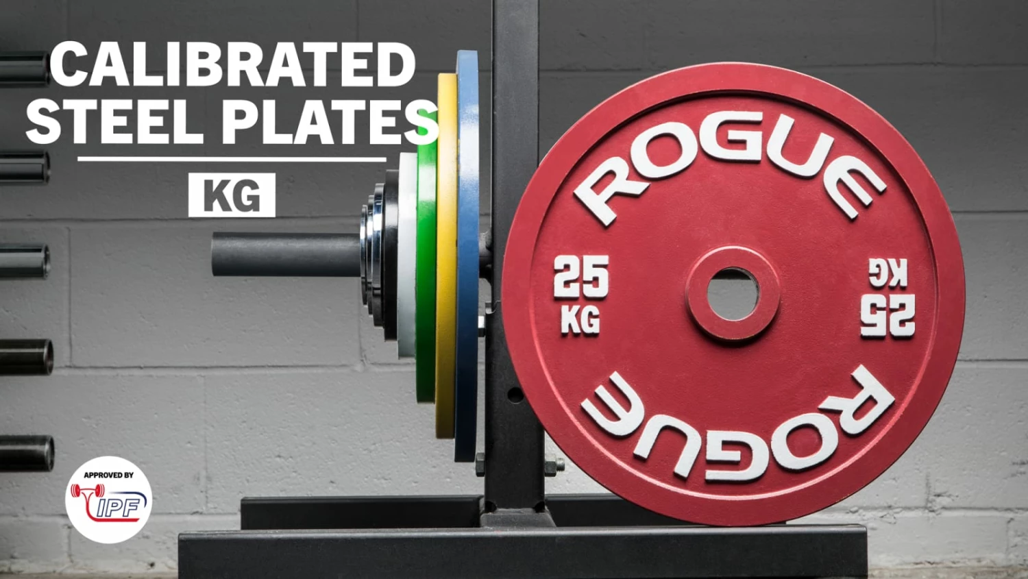 Rogue Fitness Rogue Calibrated KG Steel Plates