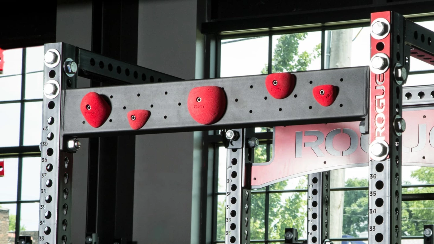 Rogue Fitness Rogue Monster Climbing Hold Crossmembers