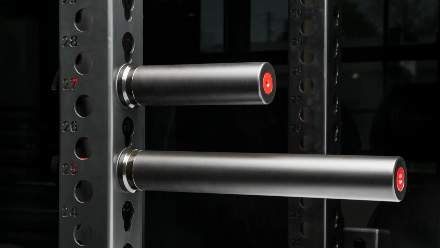 Rogue Fitness Rogue Monster Plate Storage Pin Pair - Black/Red