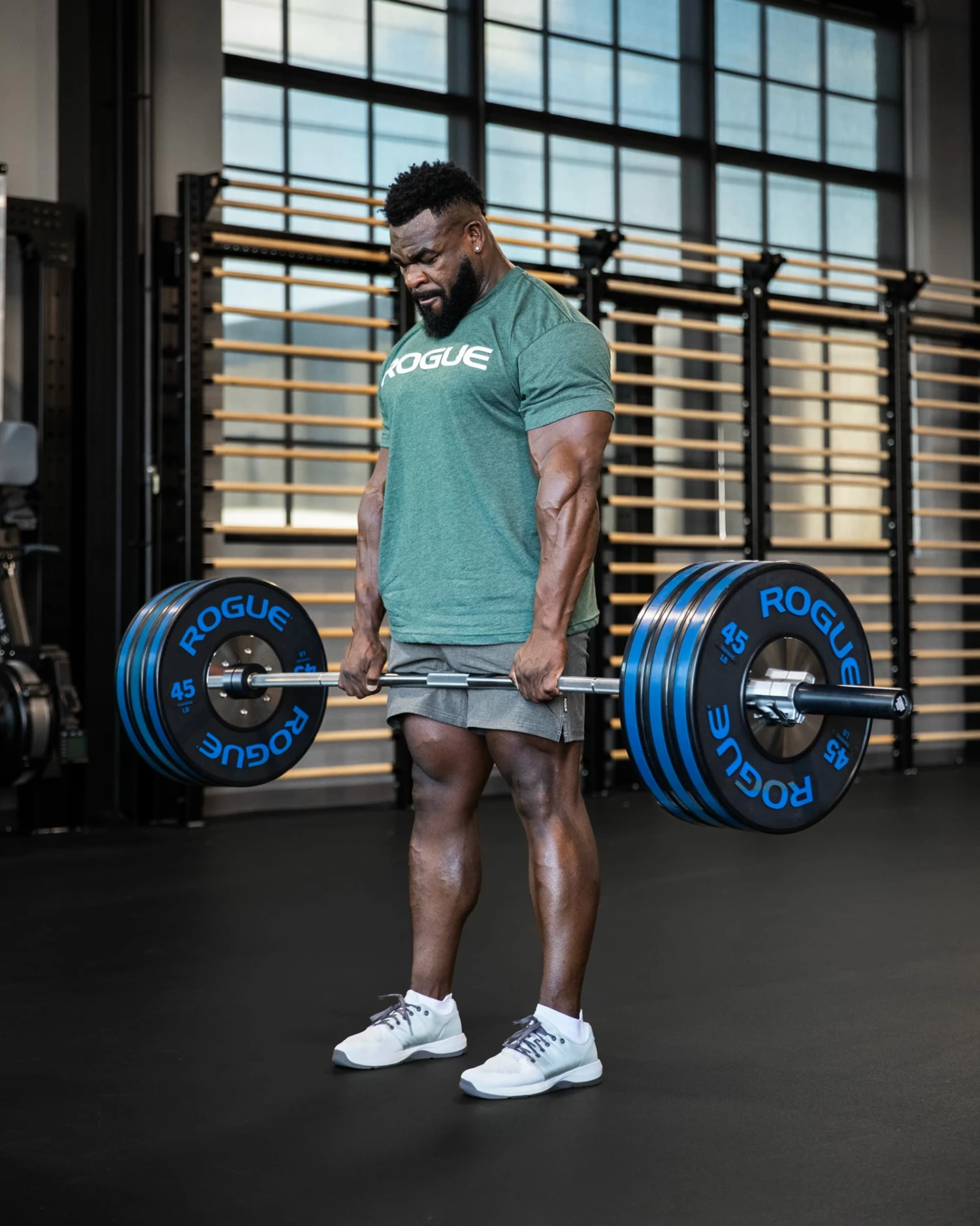 Rogue Fitness Rogue Hybrid Power Bar - Image 2