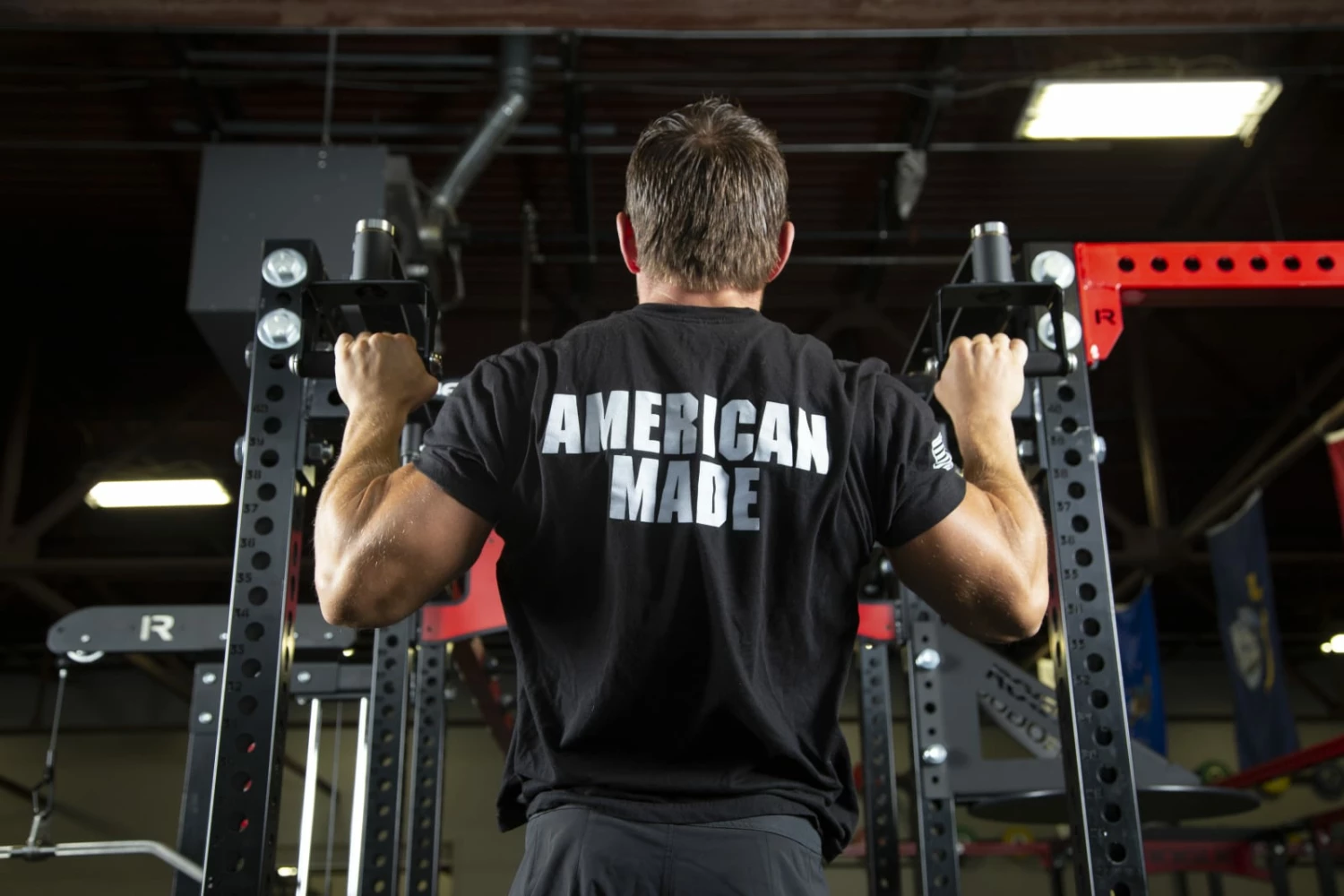 Rogue Fitness XM-43R Neutral Grip Rotating Pull-up Bar - Image 3