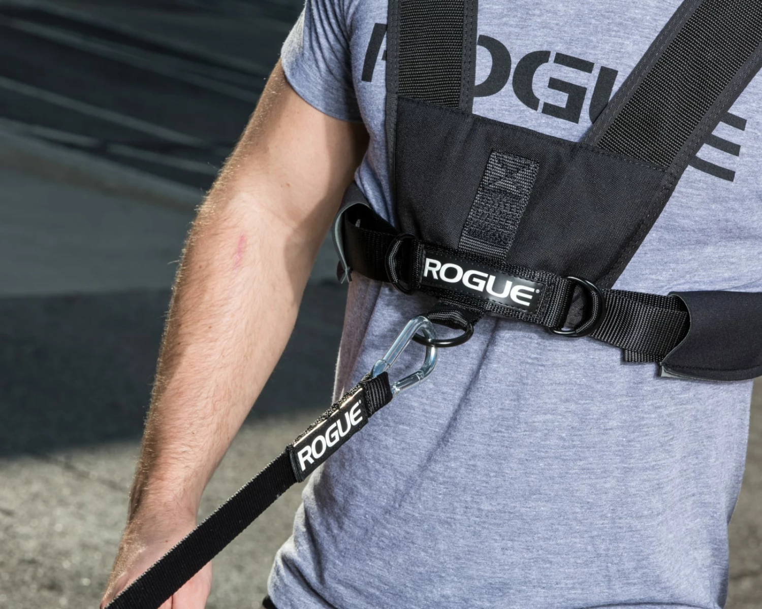 Rogue Fitness Rogue Sled Harness - Image 3