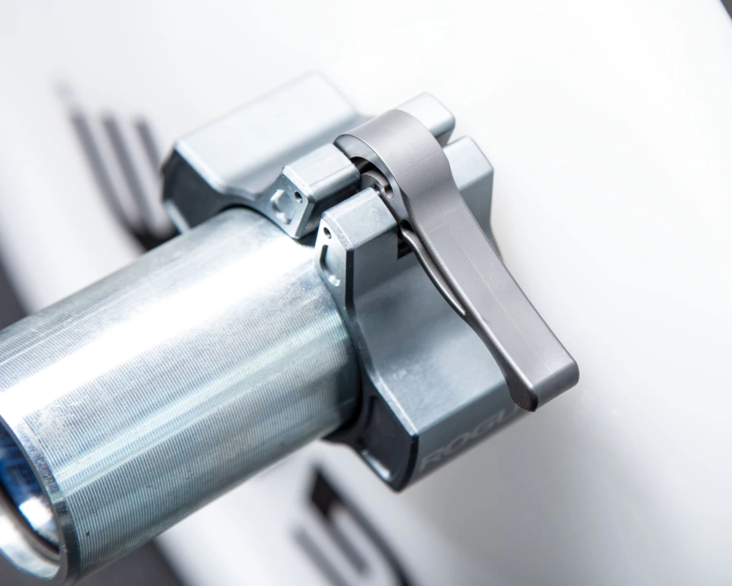 Rogue Fitness Rogue Technique Plates - Image 3