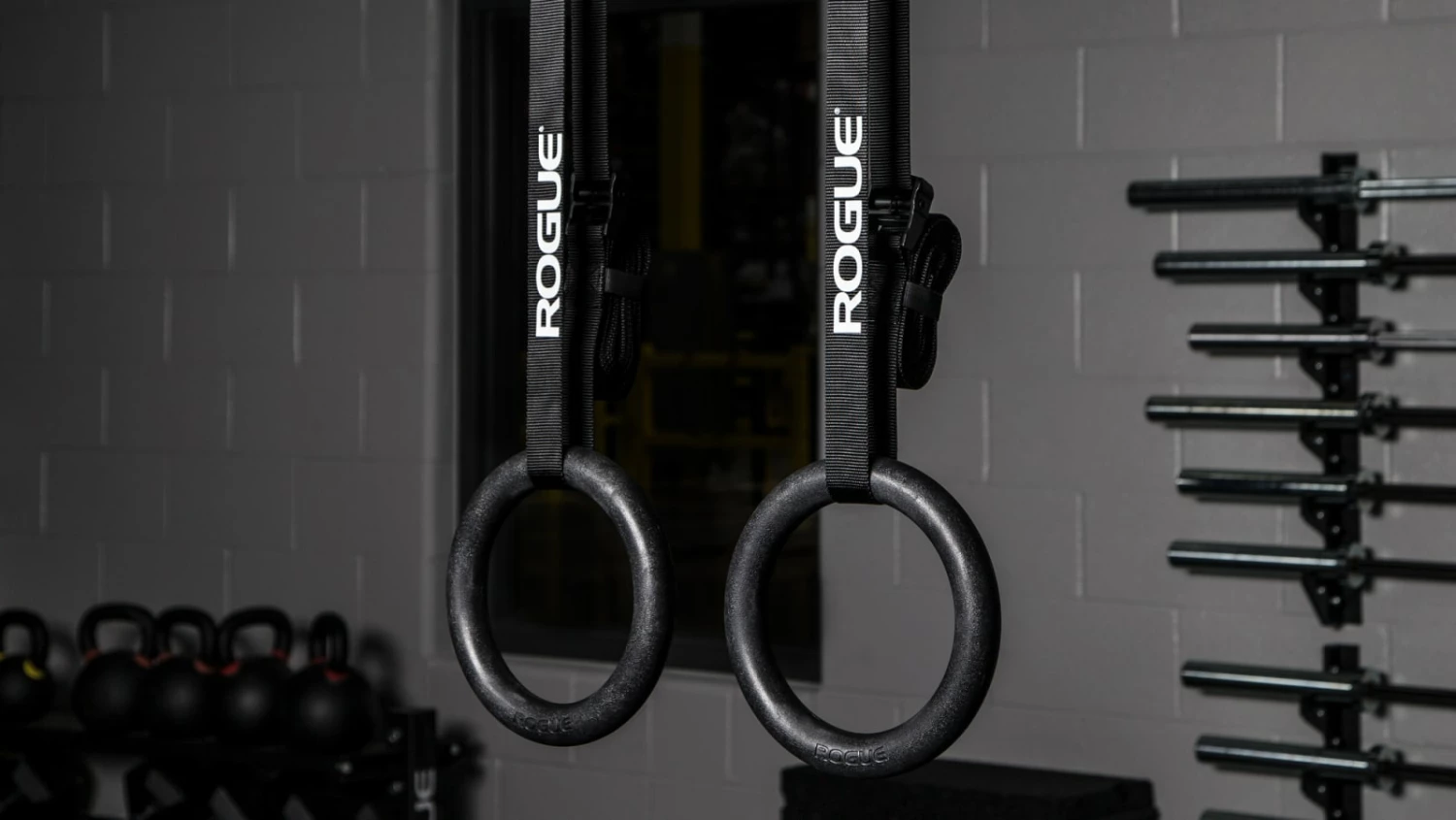 Rogue Fitness Rogue Echo Rings