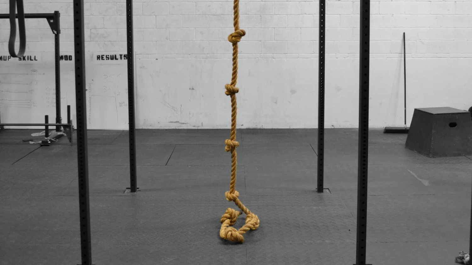 Rogue Fitness Knotted Climbing Rope