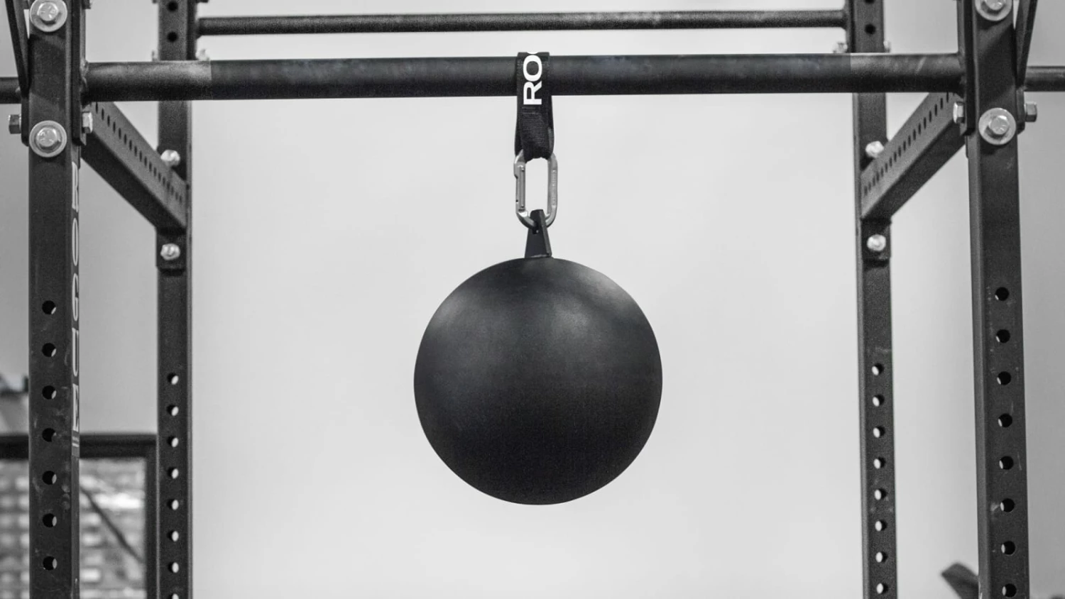 Rogue Fitness Rogue 12" Pull-up Globe